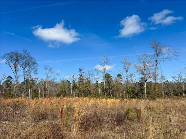 a view of a backyard of the house