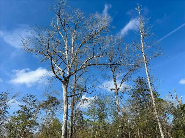 a view of mountain with lake view