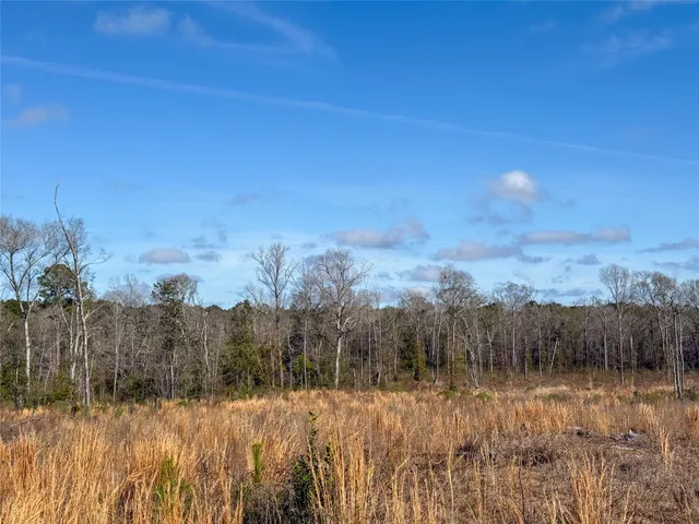 a view of a yard with trees