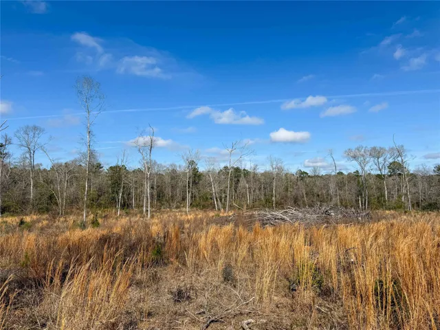 a view of room and yard