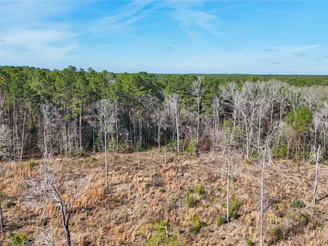 a view of a yard with an outdoor space