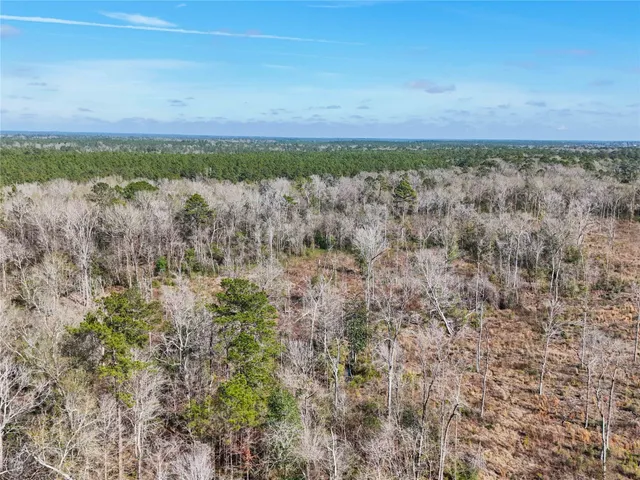 a view of a big yard with lots of bushes