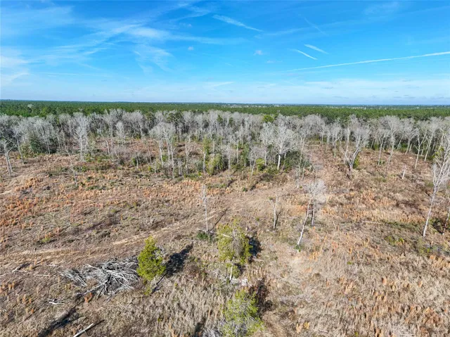 a view of a yard with a barn