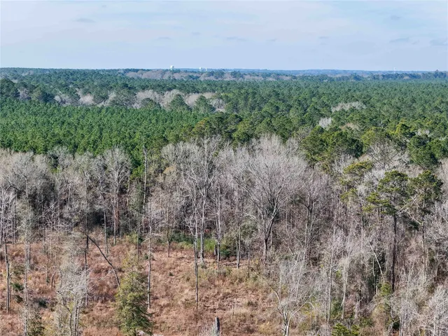 a view of a lush green field