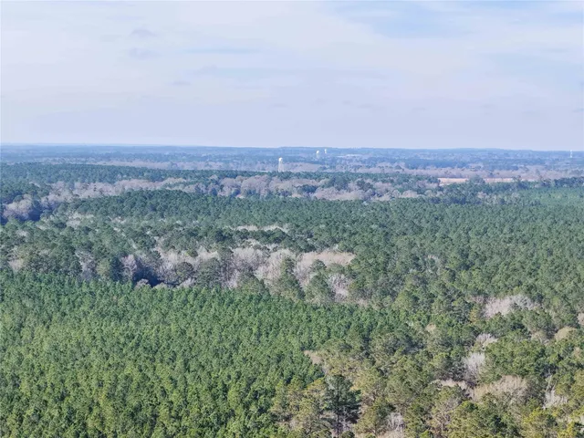 a view of a yard with a dry yard