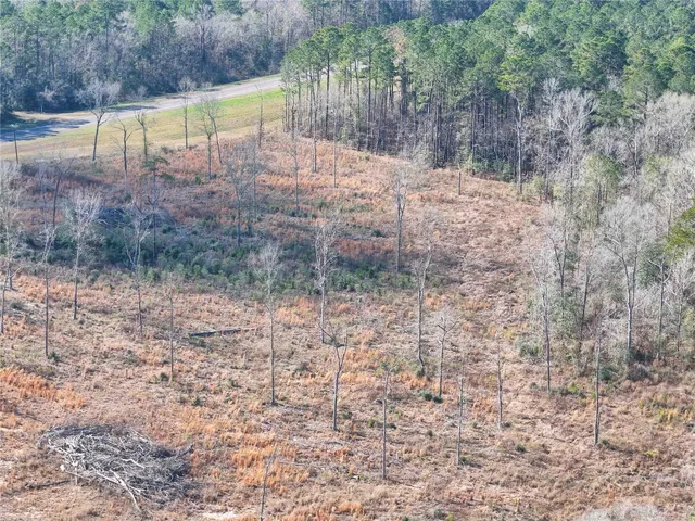 a view of a yard with plants and trees