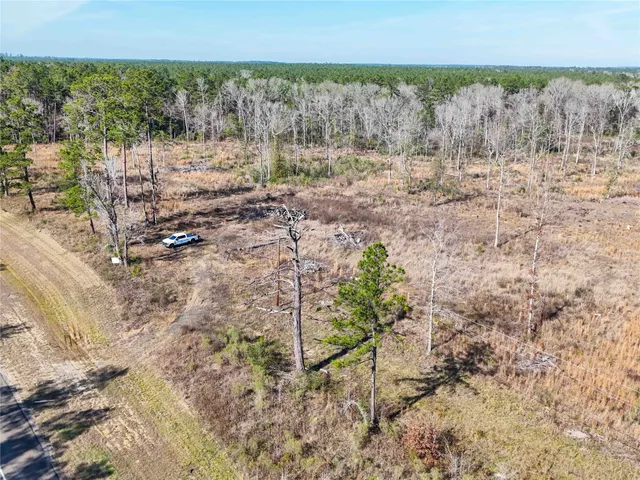 a view of a yard with a tree