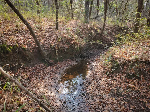 a view of a bathroom