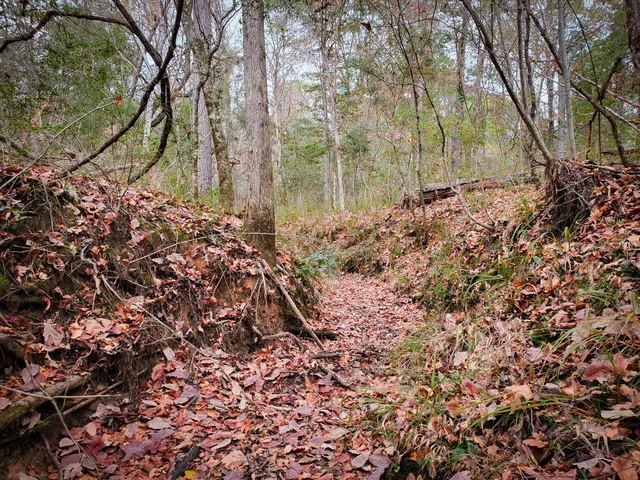 $329,500 | 11111 East Us Highway, Jasper, TX 75951