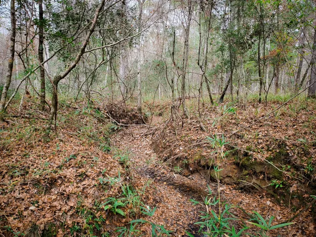 $329,500 | 11111 East Us Highway, Jasper, TX 75951