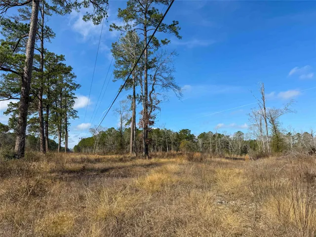 a view of a yard with an trees