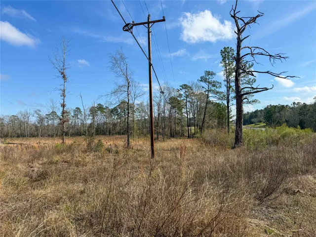 a view of dirt field with trees in the background