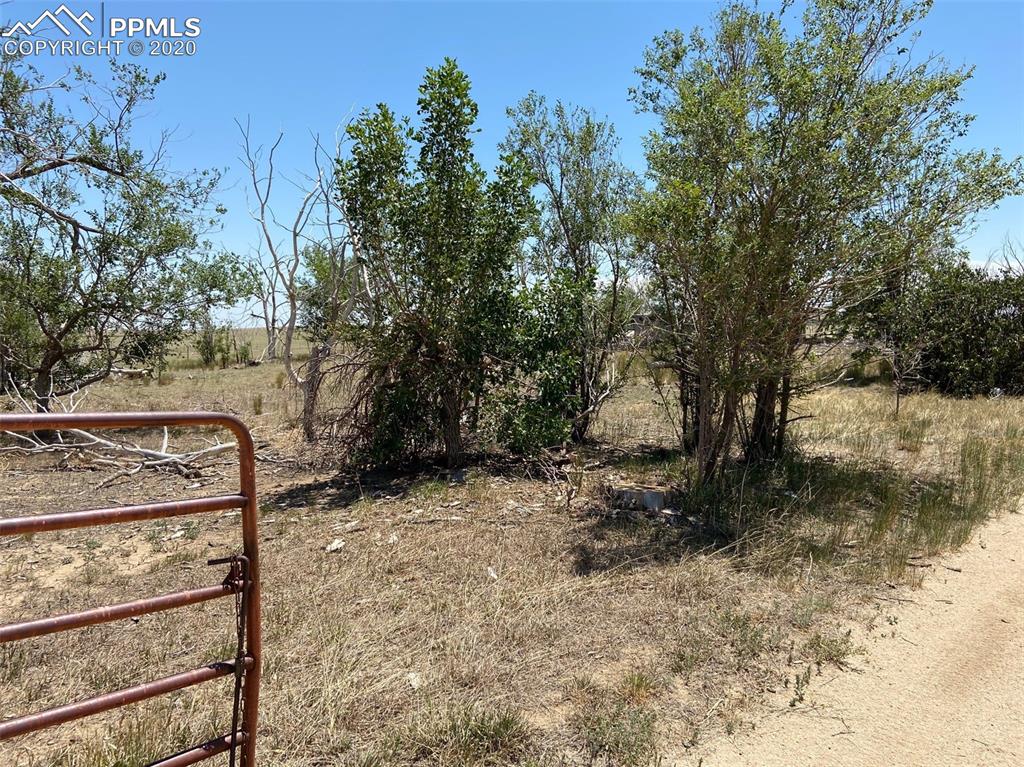 34175 Truckton Road Yoder, CO 80864 - Photo 4 of 9