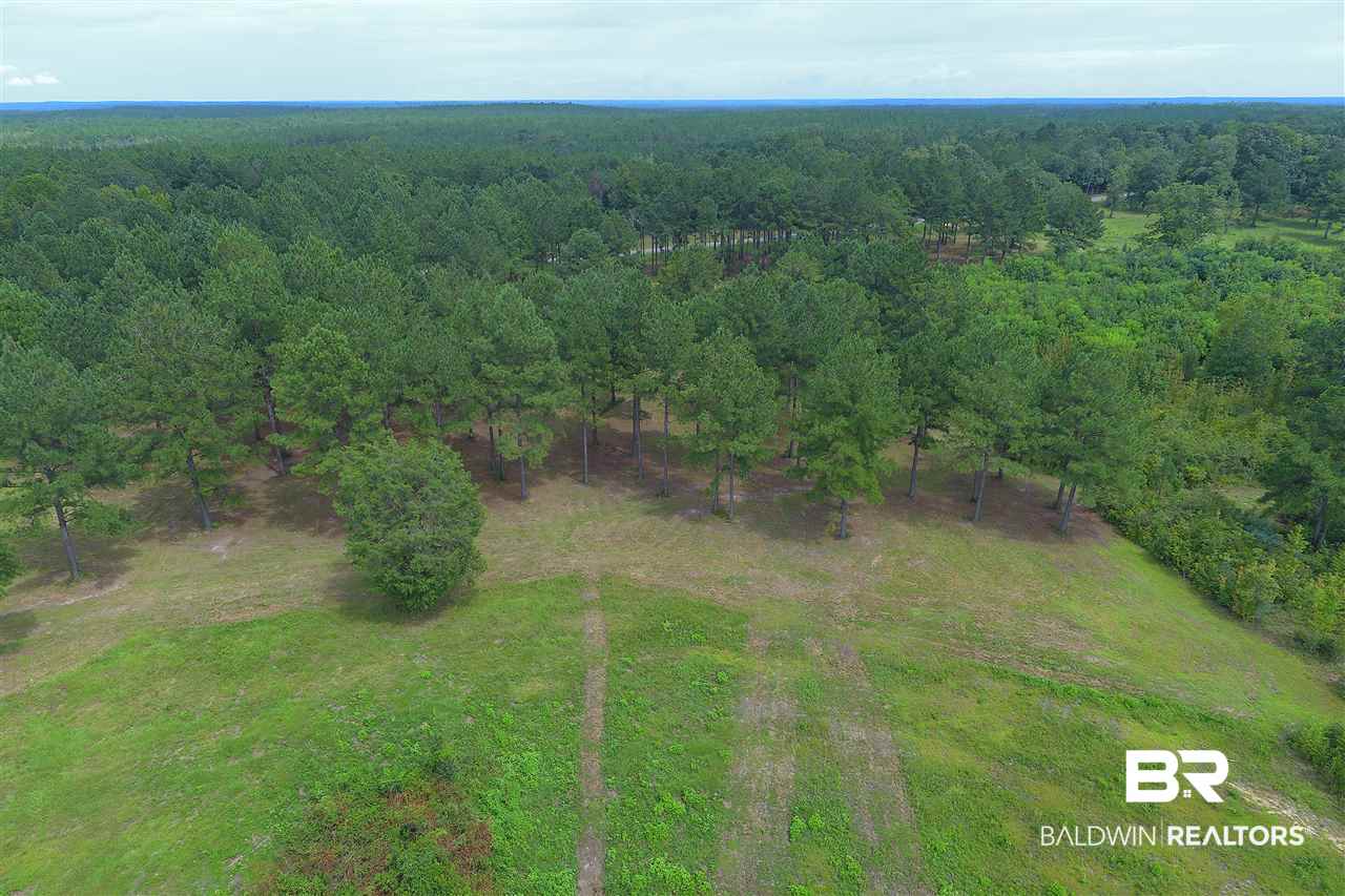 249 Camp Dixon Road Brewton, AL 36426 - Photo 45 of 48