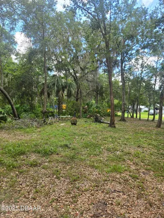 a view of outdoor space with trees