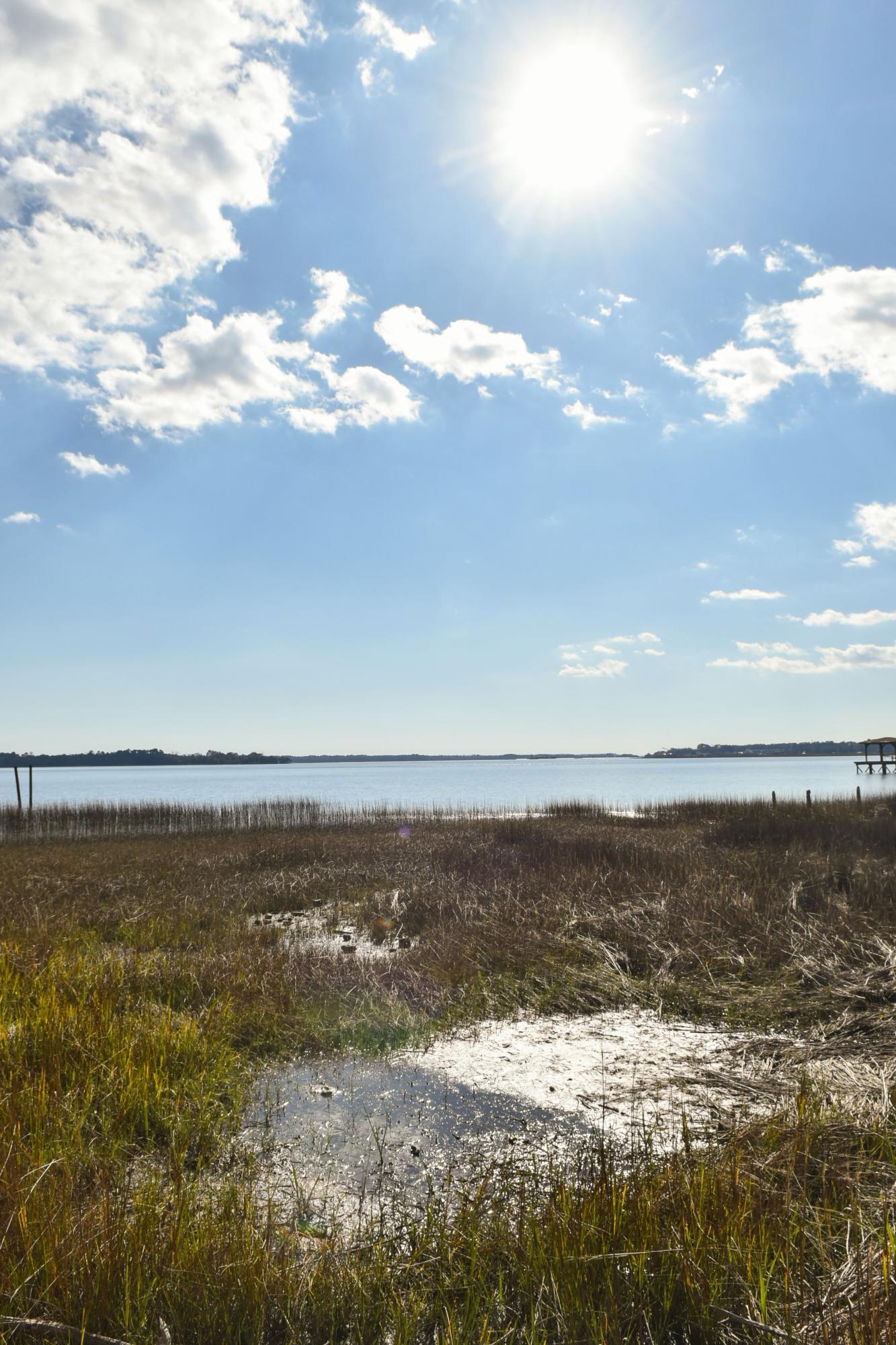 4673 Westervelt Road Meggett, SC 29449 - Photo 53 of 60 unspecified (61)