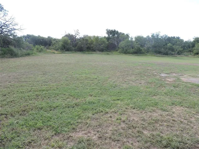 a view of a field with an ocean