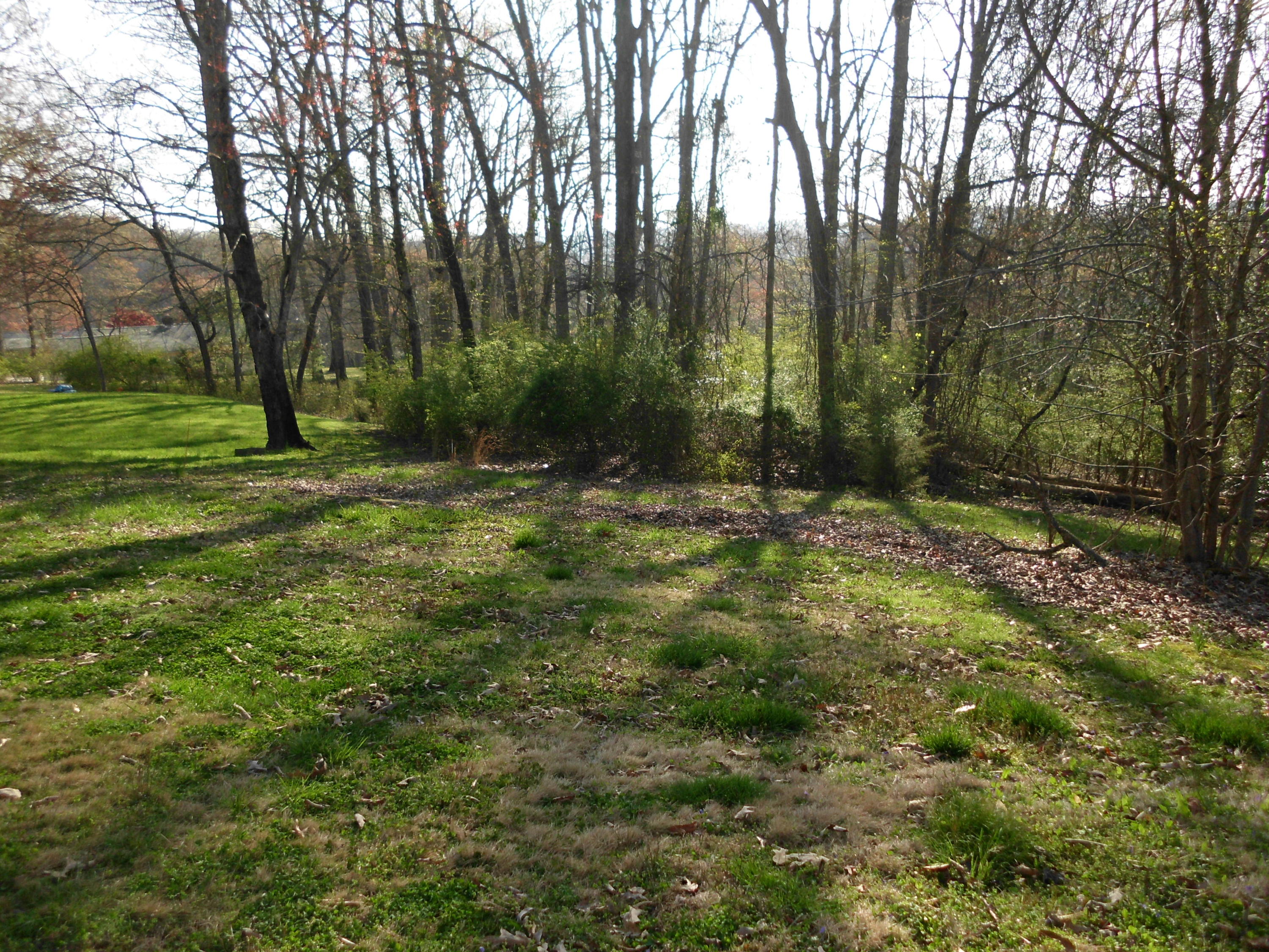 69 Pine Road Norris, TN 37828 - Photo 23 of 26 SANY1264