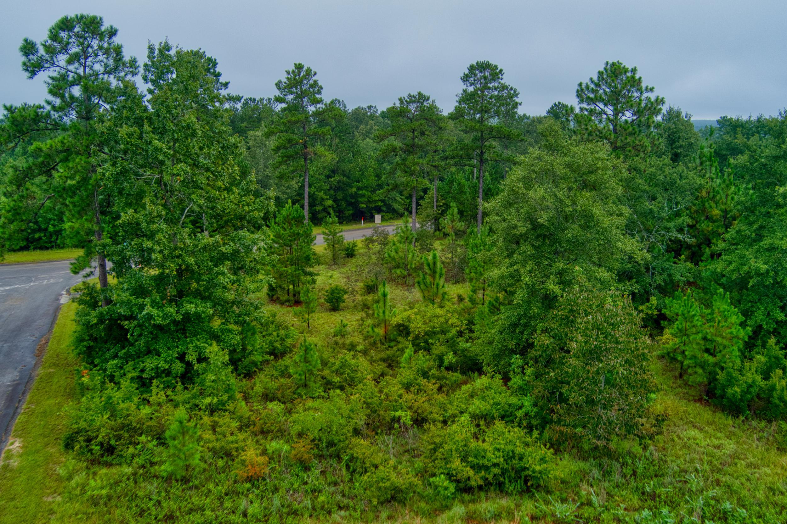 Lot 5 Cooks Pond Road Windsor, SC 29856 - Photo 14 of 23