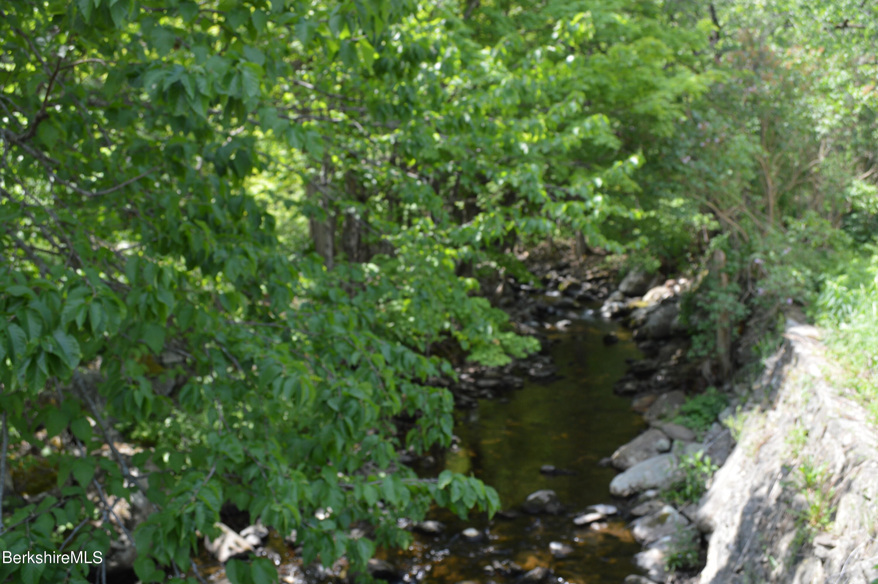 0 Bonny Rigg Hill Road Becket, MA 01223 - Photo 6 of 10 a view of a lake with a tree