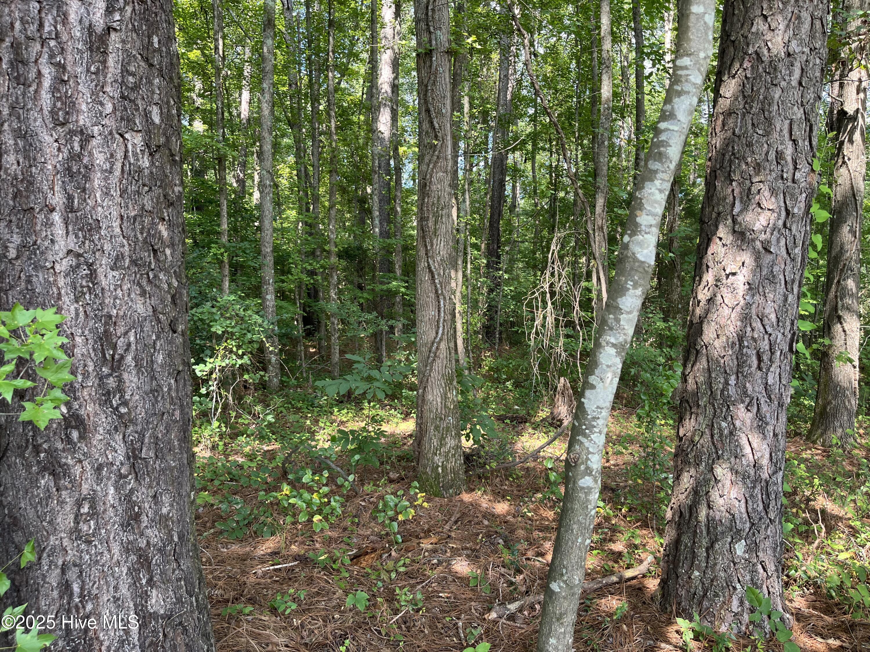 0 Green Rd Spring Spring Hope, NC 27882 - Photo 3 of 3 green rd 5