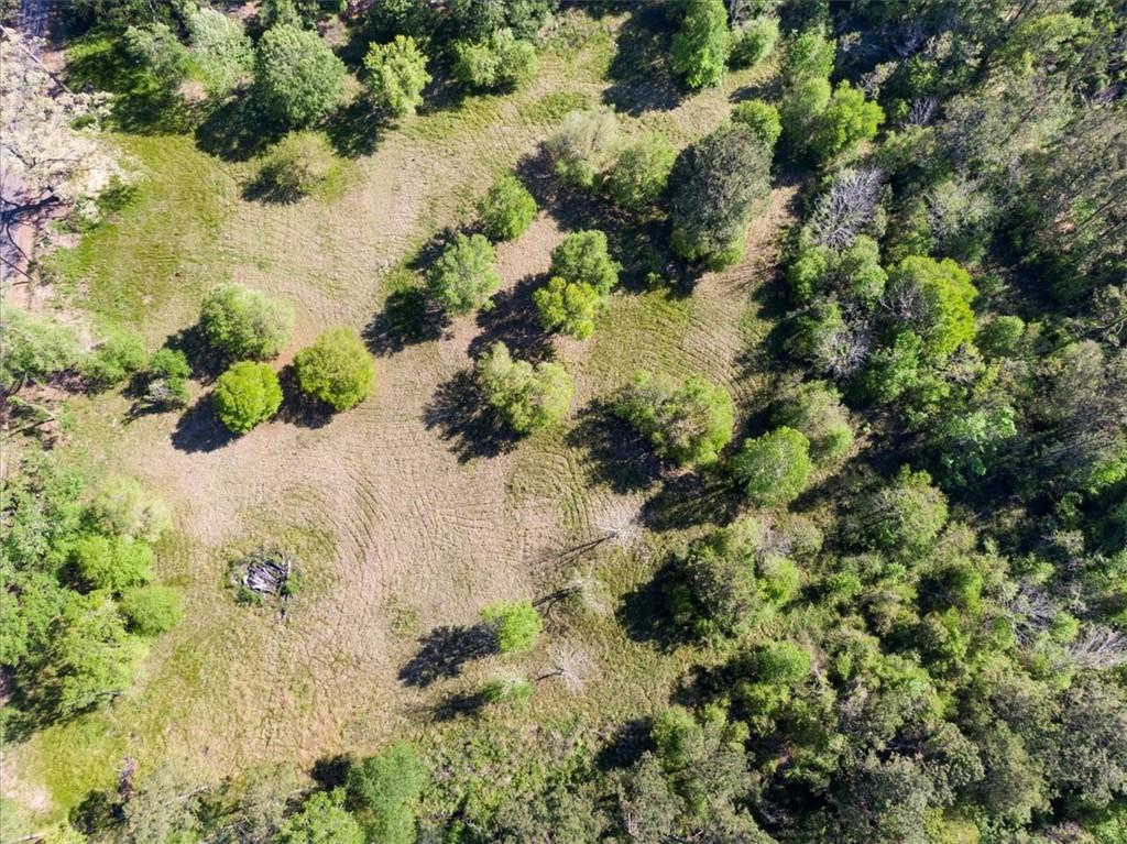 43453 East Pleasant Ridge Road Hammond, LA 70403 - Photo 12 of 23 Gallery Image 12
