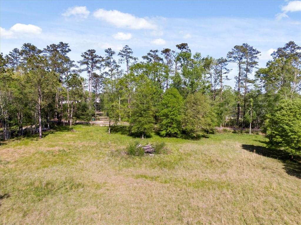 43453 East Pleasant Ridge Road Hammond, LA 70403 - Photo 14 of 23 Gallery Image 14
