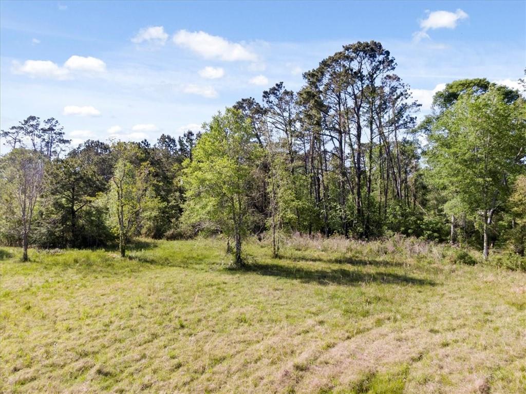 43453 East Pleasant Ridge Road Hammond, LA 70403 - Photo 16 of 23 Gallery Image 16