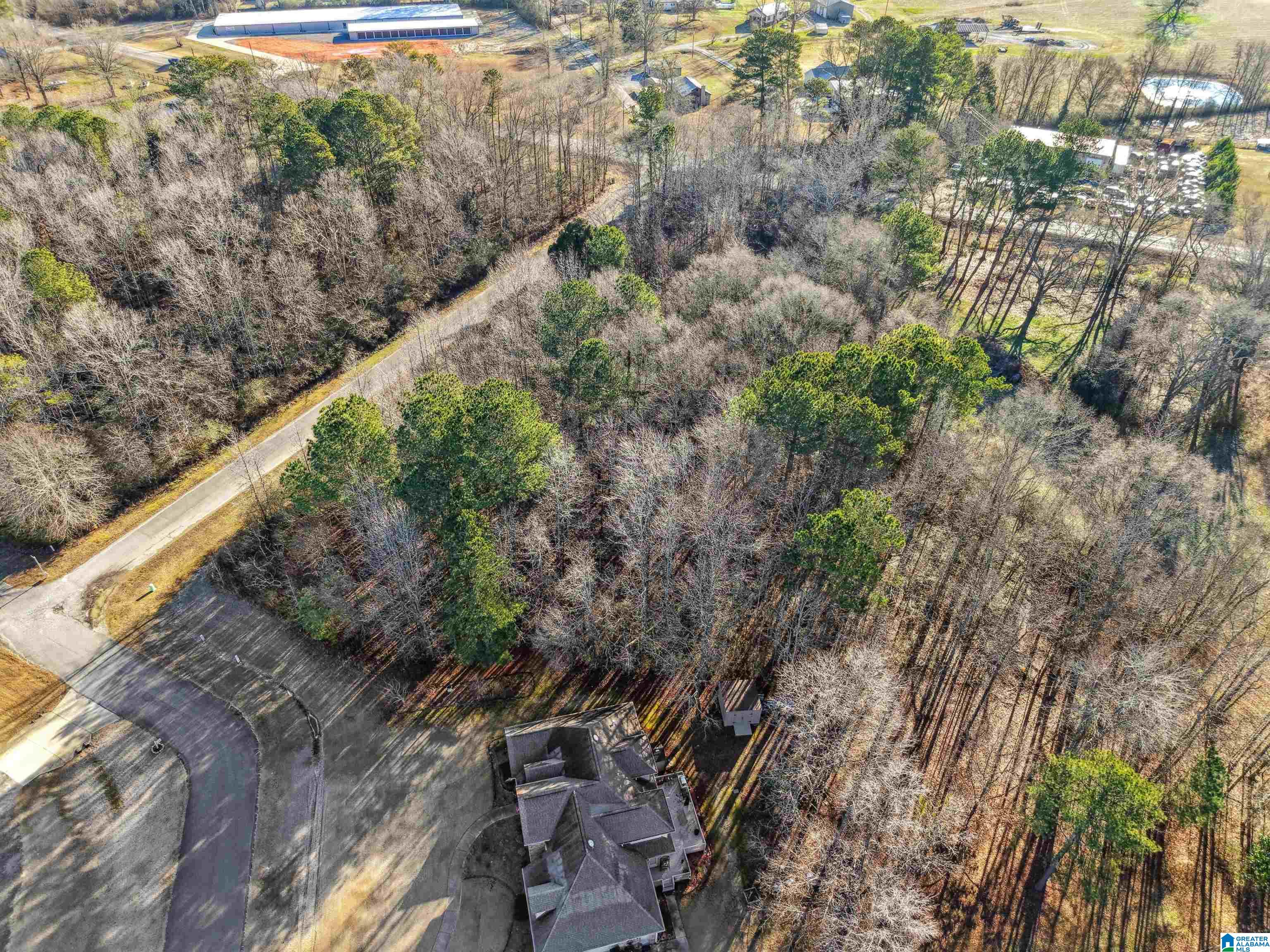 0 Branch Cove, Unit PHASE 2 Odenville, AL 35120 - Photo 9 of 32