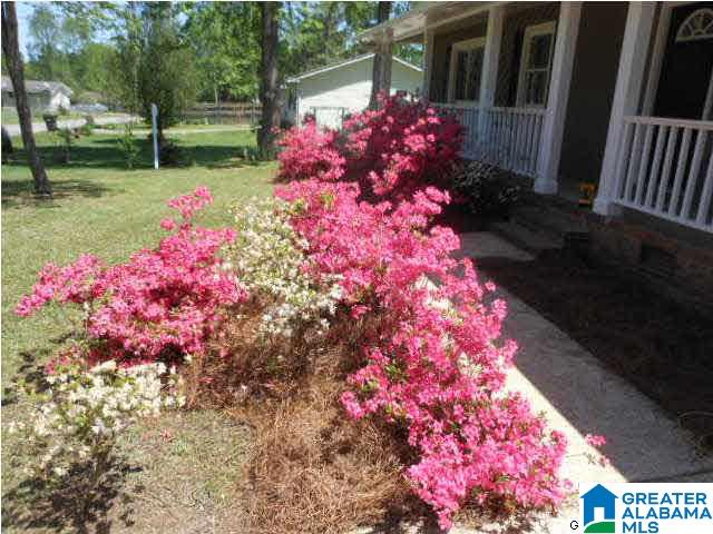 804 Pine Ridge Drive Oxford, AL 36203 - Photo 11 of 12