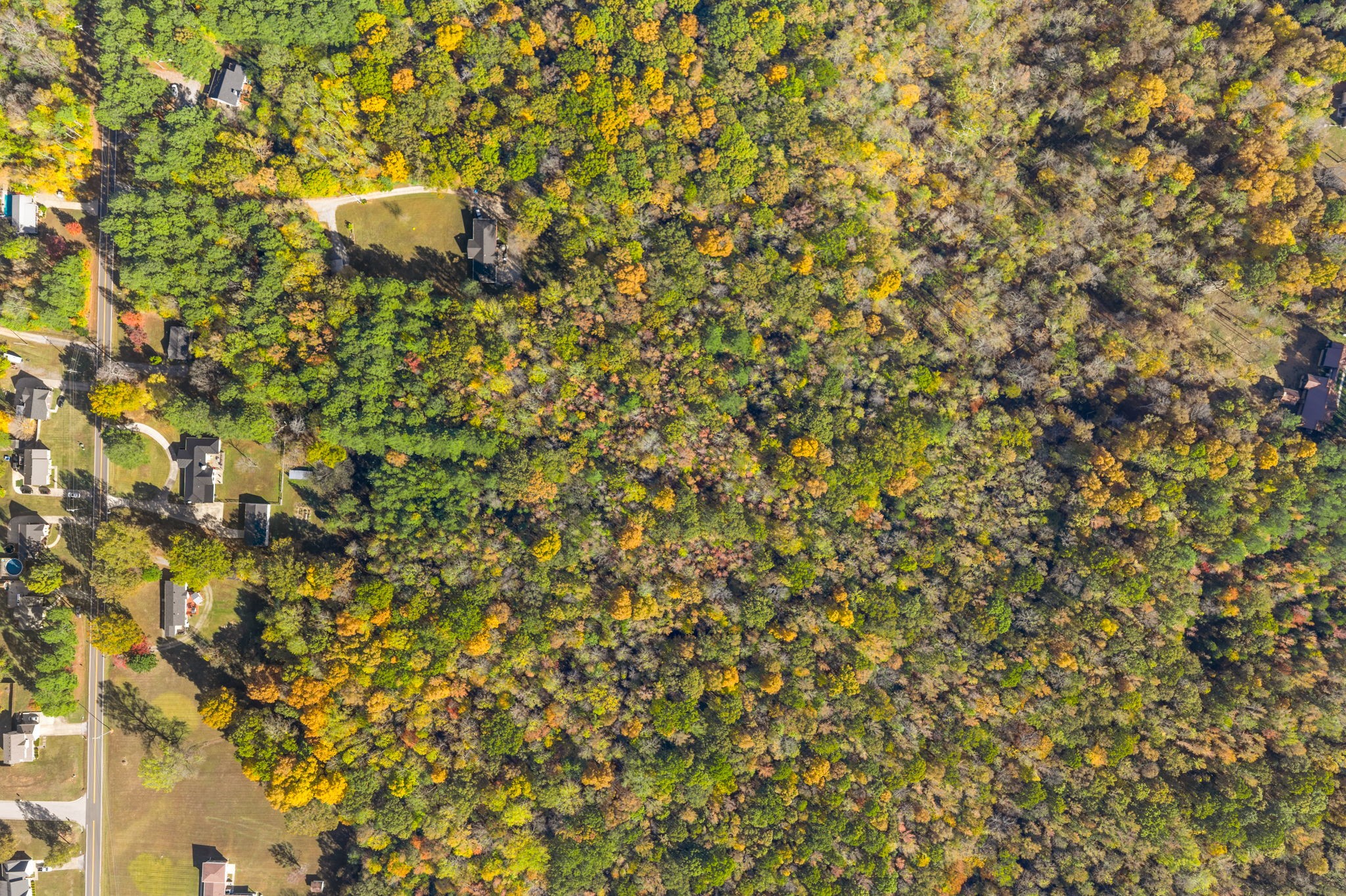 412 Belmont Road Clarksville, TN 37040 - Photo 51 of 60