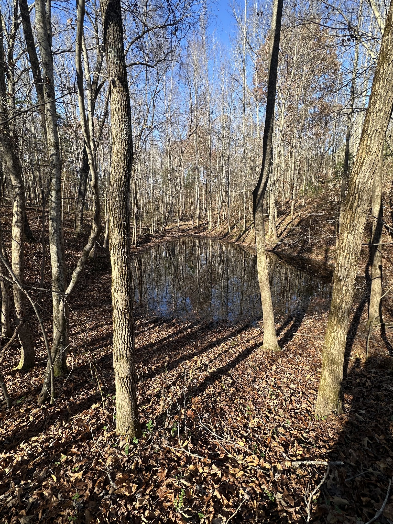 412 Belmont Road Clarksville, TN 37040 - Photo 60 of 60