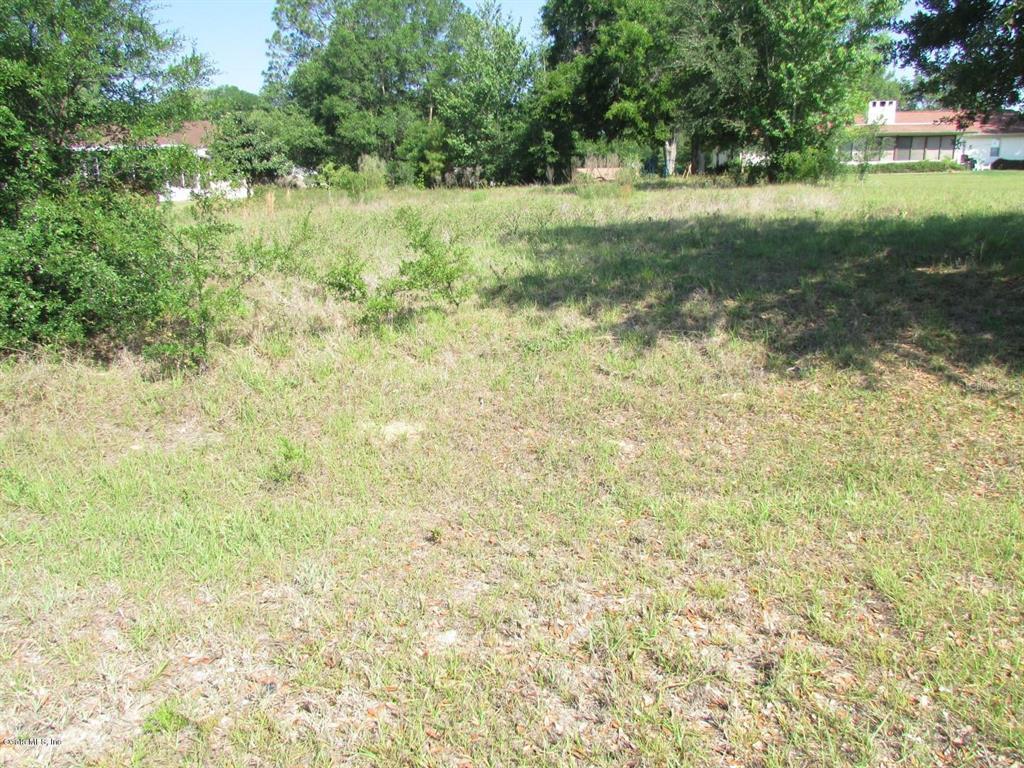 0 Southwest 196th Terrace Road Dunnellon, FL 34432 - Photo 1 of 1 a view of a tree in a yard