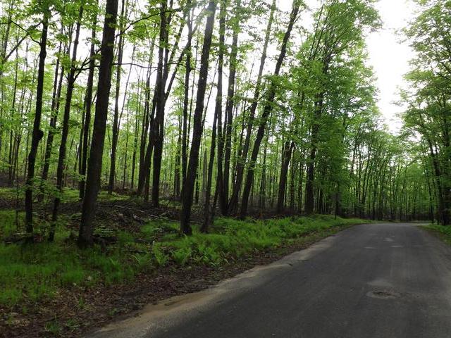 On Military Road, Unit LOT 5 Eagle River, WI 54521 - Photo 4 of 4 Gallery Image 4