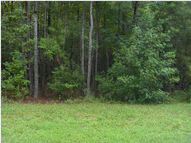 0 Virginia Avenue Ridgeville, SC 29472 - Photo 1 of 1 Primary Photo