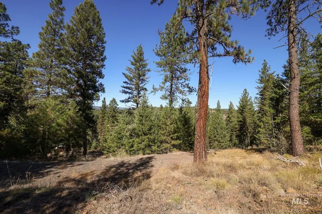 $259,000 | Lot 22 Rim Road, New Meadows, ID 83654