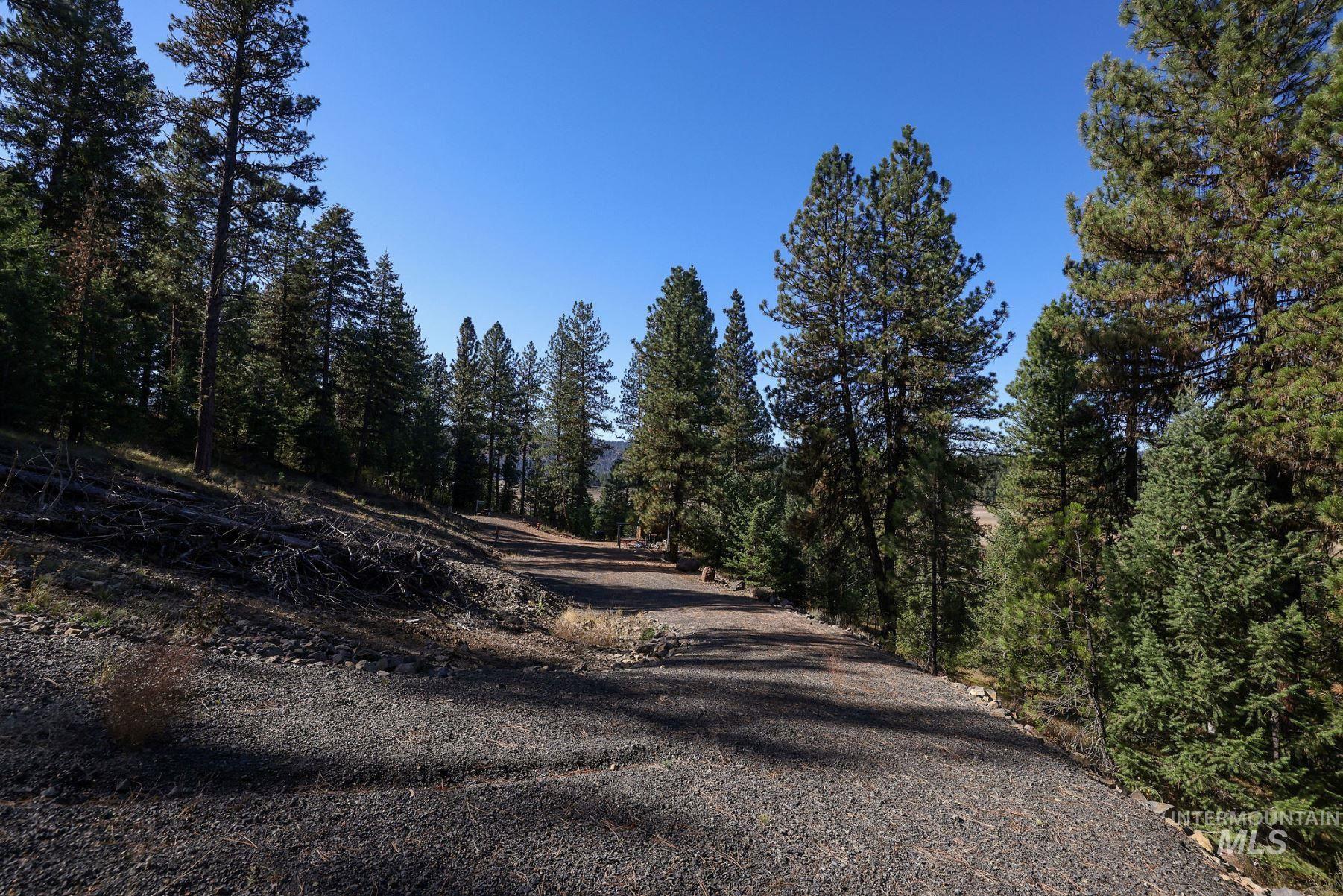 Lot 22 Rim Road New Meadows, ID 83654 - Photo 41 of 49