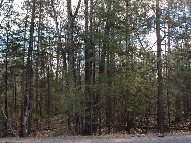 On Meta Lake Road Eagle River, WI 54521 - Photo 3 of 7 Gallery Image 3