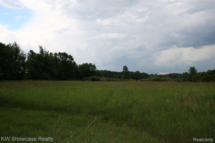 8775 Roberts Road Gregory, MI 48137 - Photo 38 of 38 Land