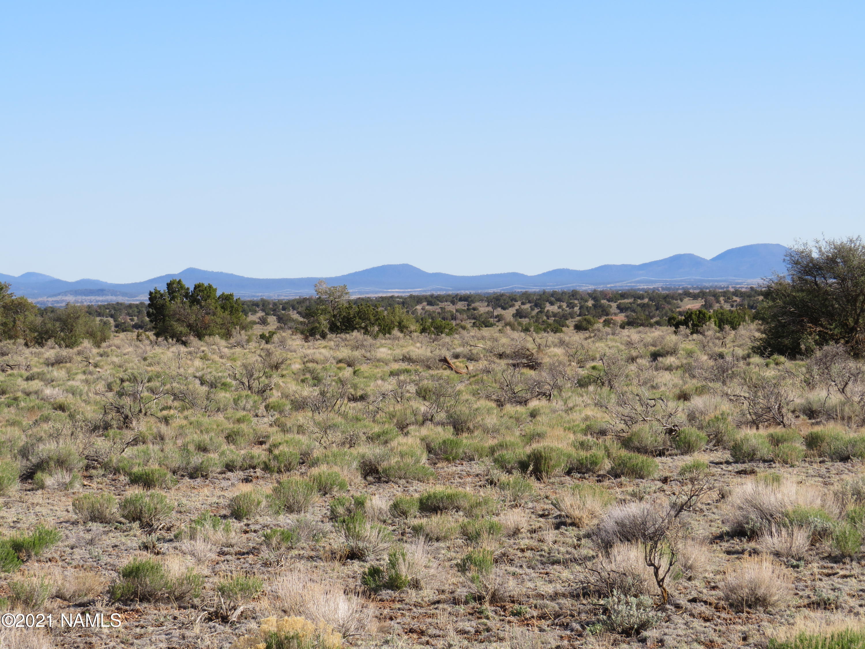 2150 Red Butte Road Williams, AZ 86046 - Photo 5 of 27 a view of a mountain range with trees in the background