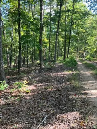 $61,995 | 172 Madison Cr, Fredericktown, MO 63645