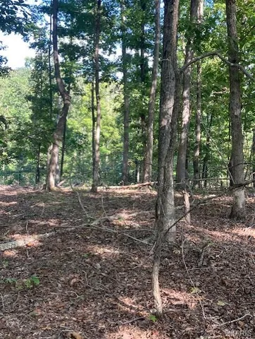 $61,995 | 172 Madison Cr, Fredericktown, MO 63645