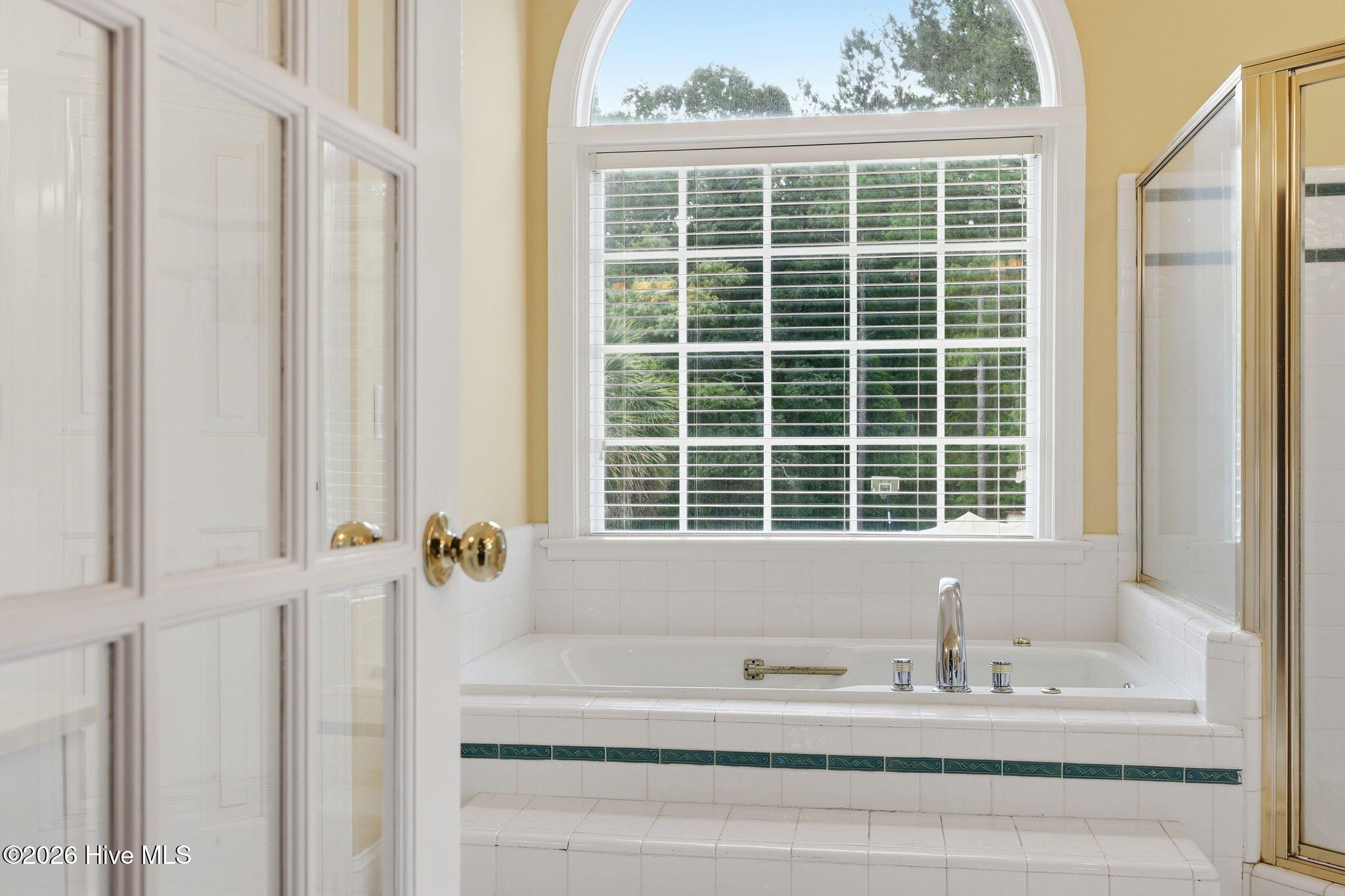 4076 Mobleys Bridge Road Grimesland, NC 27837 - Photo 33 of 66 owner soaking bath with arched window overlooking back yard for privacy