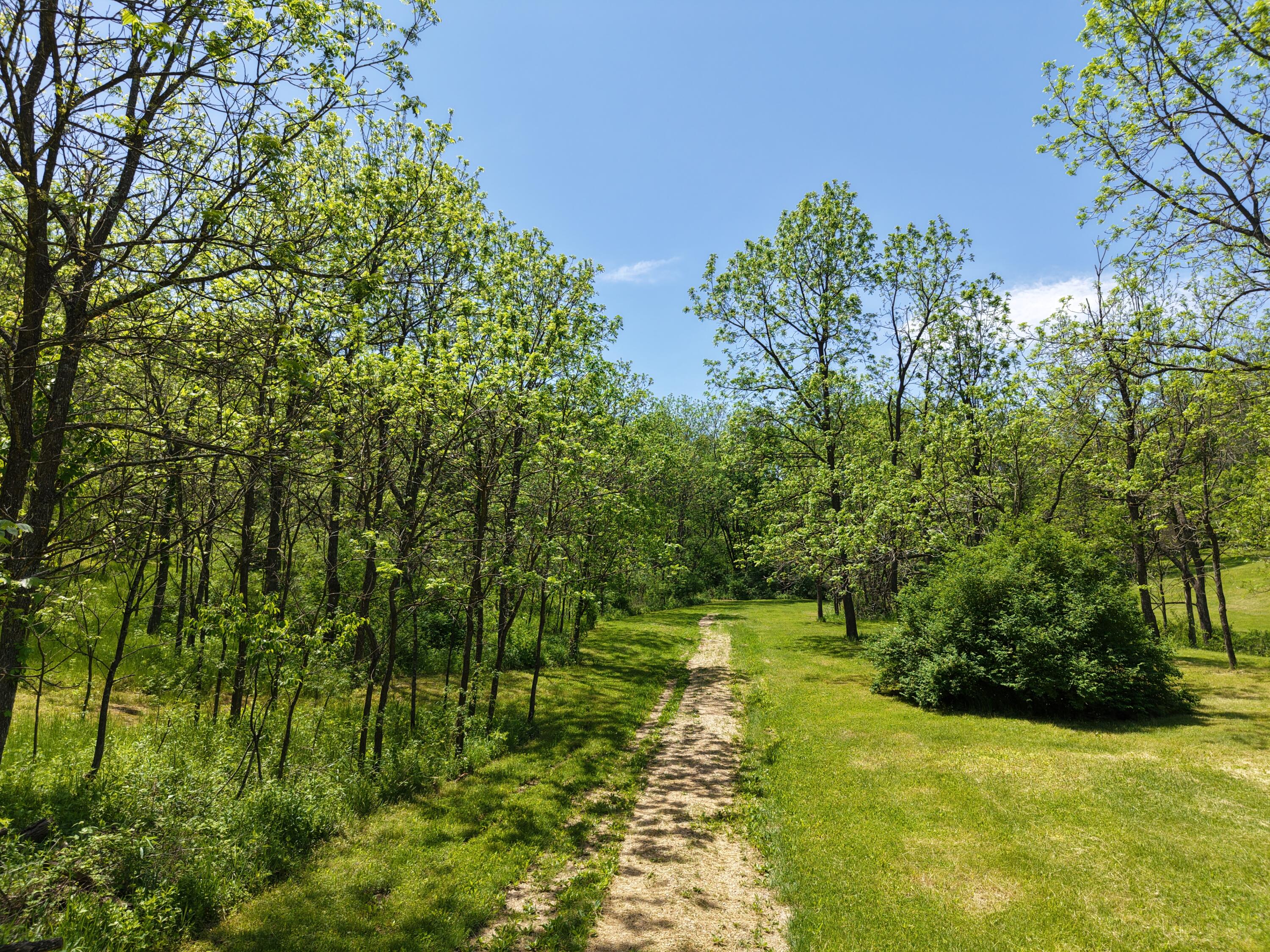 E11695 Chadwick Hollow Road Liberty, WI 54664 - Photo 51 of 56 DJI_20260527123157_0612_D