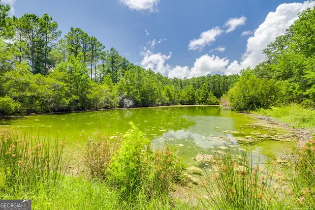 a view of yard with swimming pool and green space