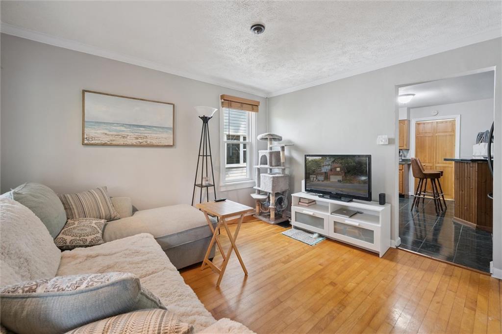 679 Greentree Road Pittsburgh, PA 15220 - Photo 7 of 25 a living room with furniture and a flat screen tv