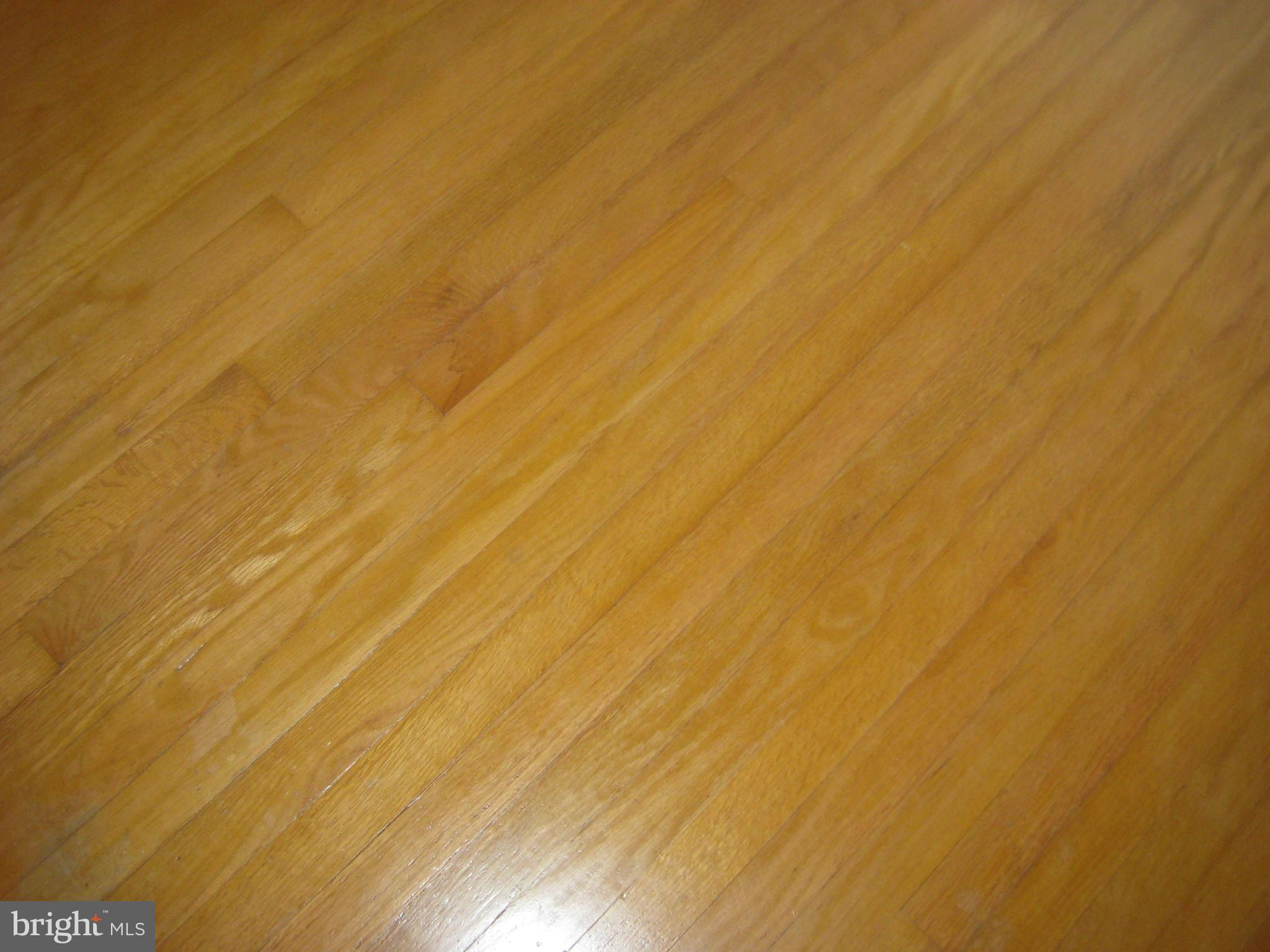 501 East Middle Street Hanover, PA 17331 - Photo 3 of 43 Gallery Image 3