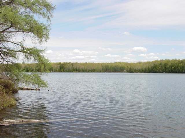 11990 Crab Lake Road Presque Isle, WI 54557 - Photo 4 of 20 Gallery Image 4
