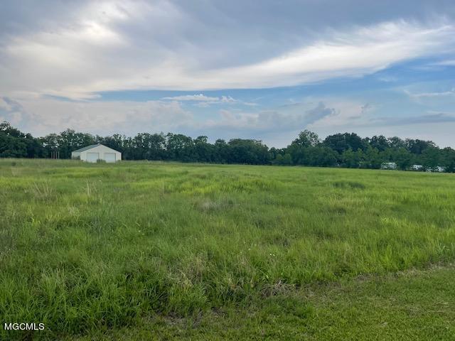 0 Overlook Road Vancleave, MS 39565 - Photo 1 of 2 IMG_1111