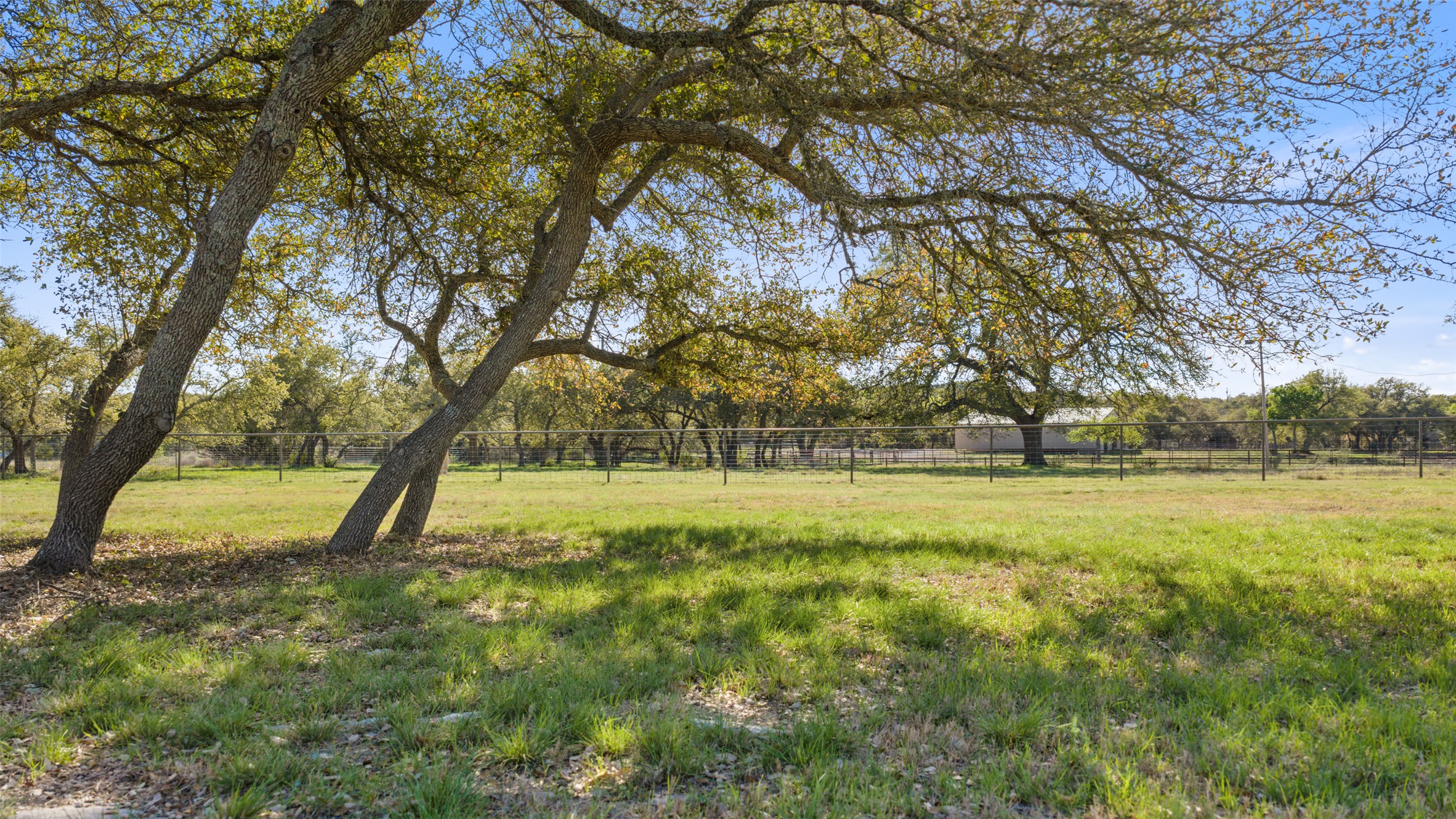 118 Landons Way Blanco, TX 78606 - Photo 20 of 32 a view of outdoor space with deck and trees